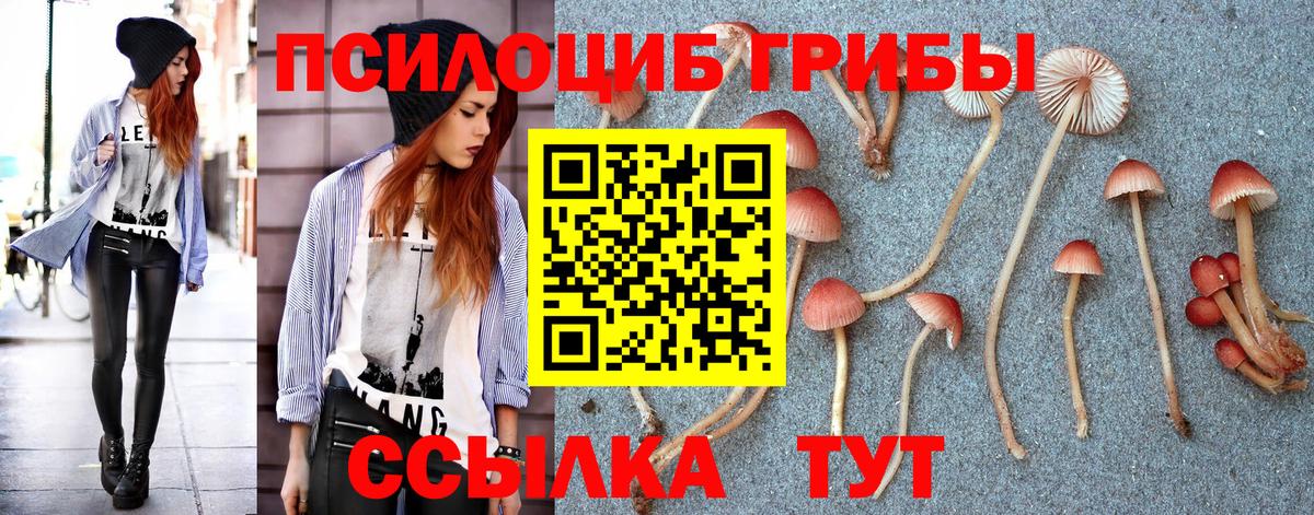 Ишим  Псилоцибиновые грибы MAGIC MUSHROOMS  Вход с VPN 